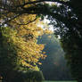 Autumn path in a Park