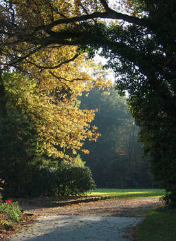 Autumn path in a Park