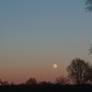 moonrise in winter