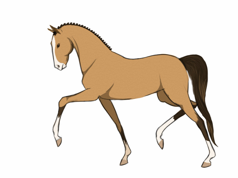 Dressage horse animation by Lauwiie1993 on DeviantArt