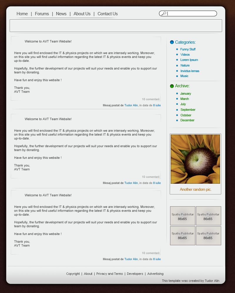 Website Layout by thetigerRLZ on DeviantArt
