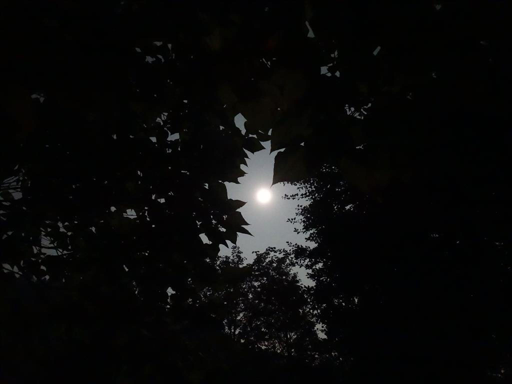 Moonlight Shadow Example Moonlight Shadow by Olinardo on DeviantArt