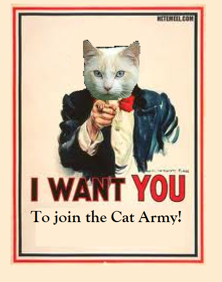 I WANT YOU...  (cat free fella)