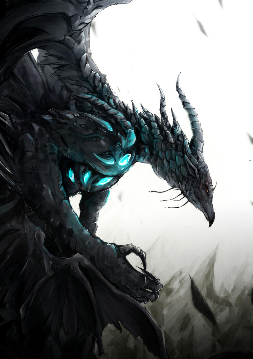 The Black Dragon by Coolnova