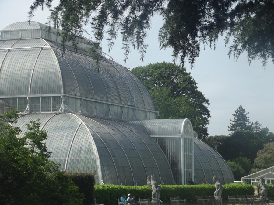 Palm House II