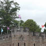 Cardiff Castle II