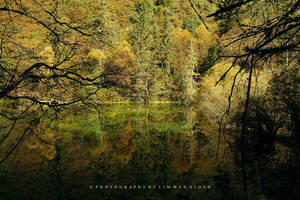 Autumn Paintings