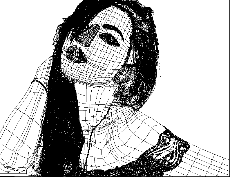 Vector Self Portrait wireframe