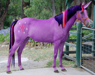Twilight Sparkle In Real Life