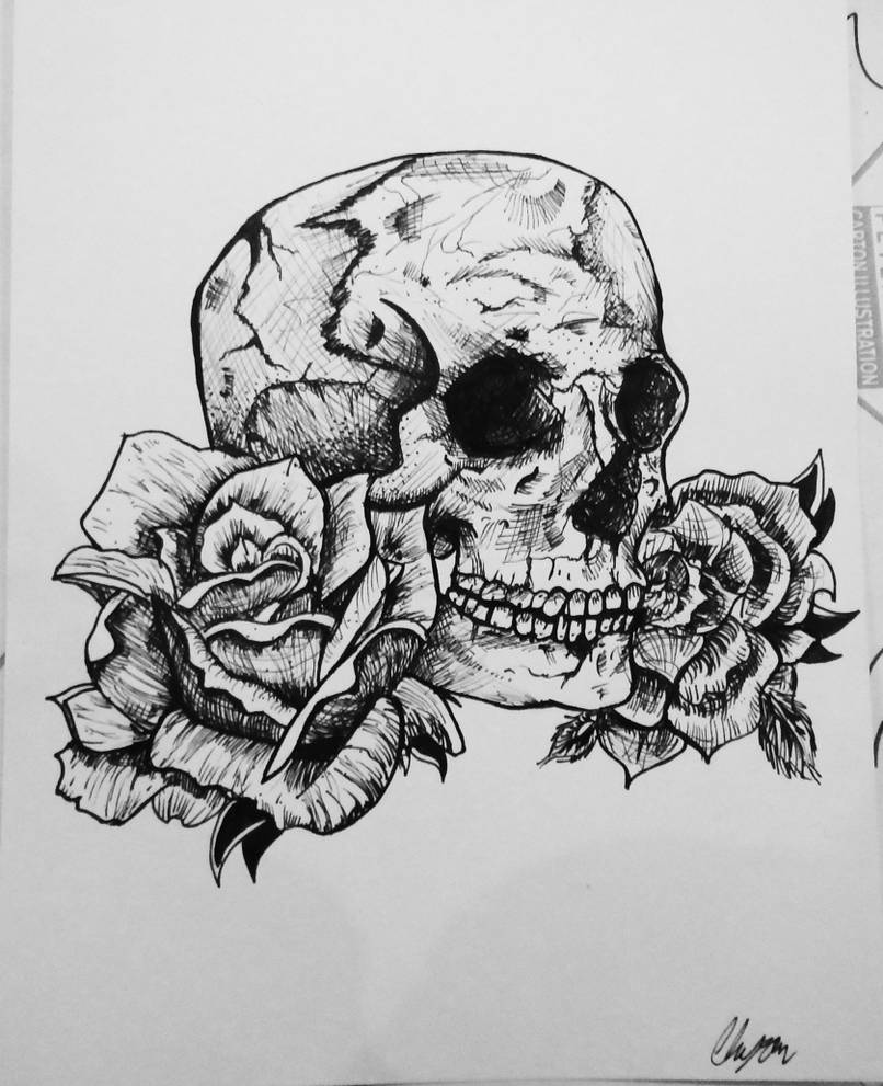 Study 1 Skull Pen and Ink by ArtistChloeKyron on DeviantArt