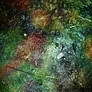coloured mess