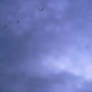 blurys skies