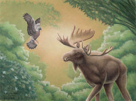 Elk and Wood Pigeon - pastels and coloured pencils