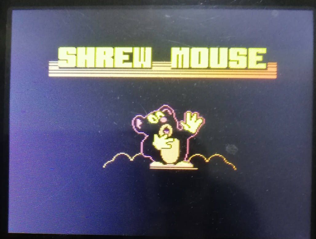 Shrew Mouse by on DeviantArt