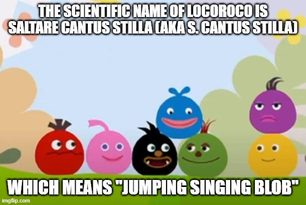 LocoRoco Meme by LilytheKawaiiUnicat on DeviantArt