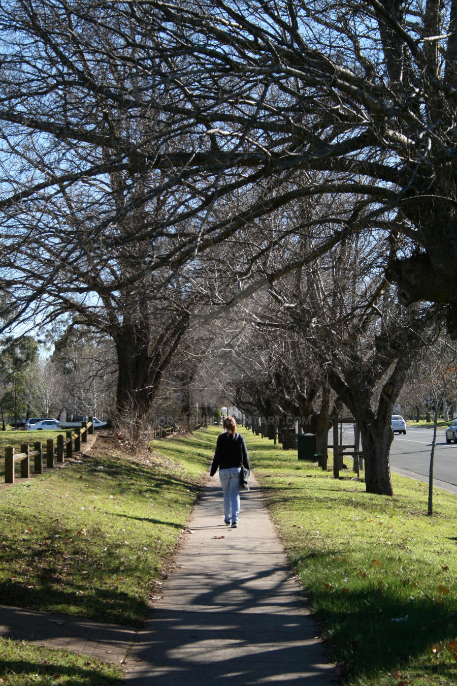 I Walk Alone