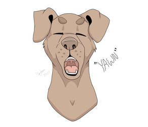 Yawning dogo