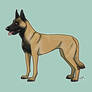 Malinois