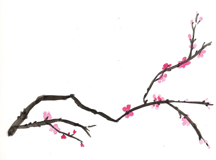 Cherry branch