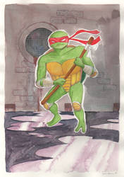 Ninja Turtle