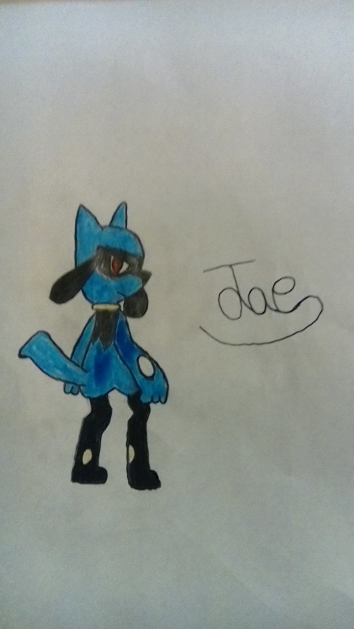 Jae (Riolu Sketch)