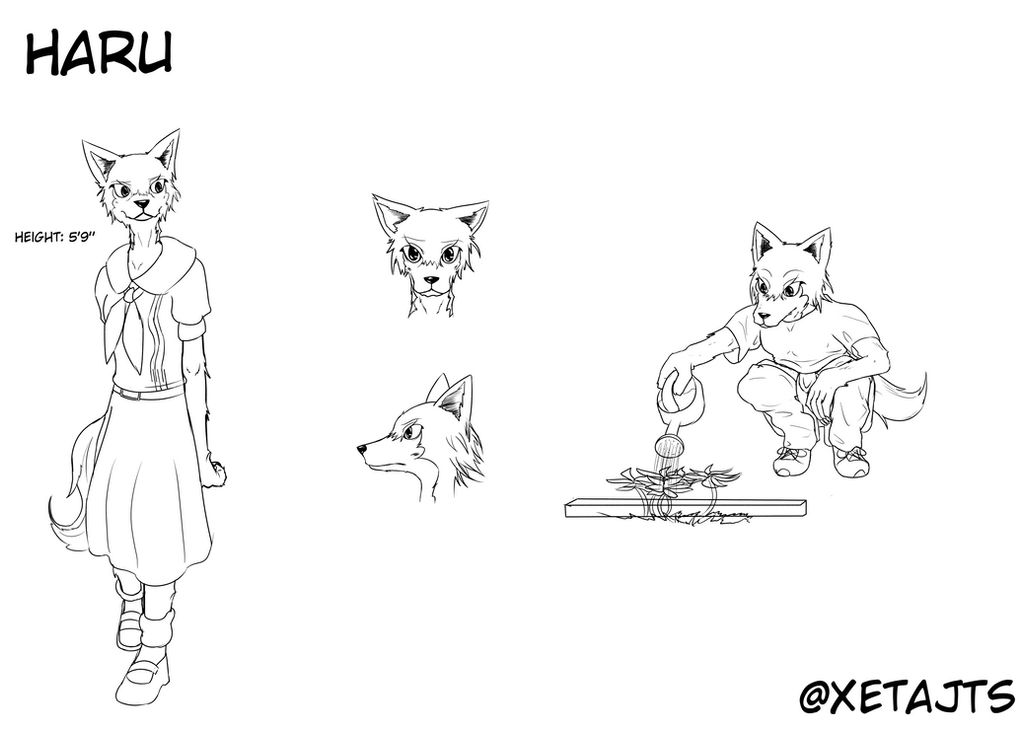 Beastars Model Reference Beastars Reflection Ref 2 by XetaJTS on DeviantArt