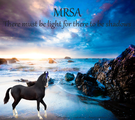 MRSA Banner, July '13