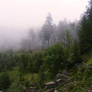 nature5