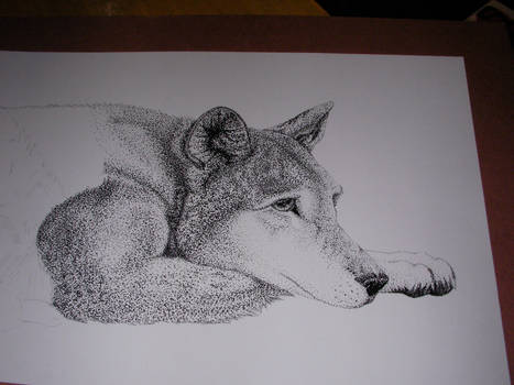 Stippling project - WIP -