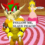 Lord Bowser And Slave Peach