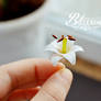 Mini lily