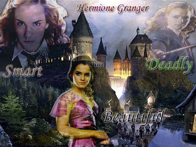 Hermione: Witch of Hogwarts