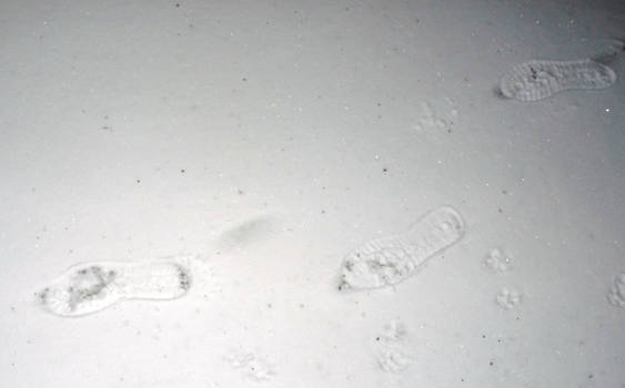 Shoeprints in Snow