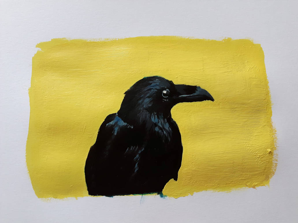 Raven Study by ashtonova on DeviantArt