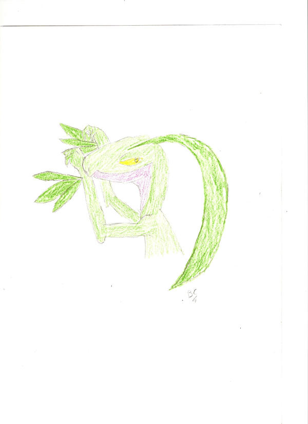 Grovile by spasticArtist on DeviantArt