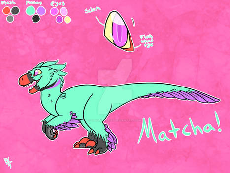 Matcha Ref [NEW]