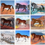 landscape horse adopts (3/9) **PRICE REDUCED**