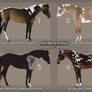 april horse adopts 23 (SOLD)