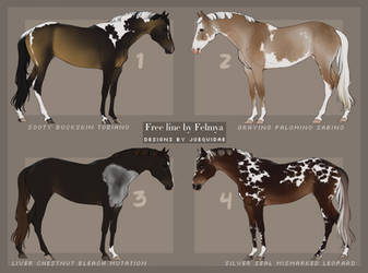 april horse adopts 23 (SOLD)