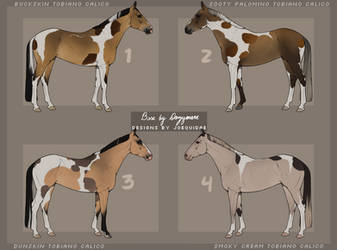 calico horse adopts 23