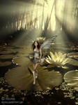 in a hidden place... by adunio