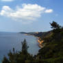 Forest by the Agean Sea