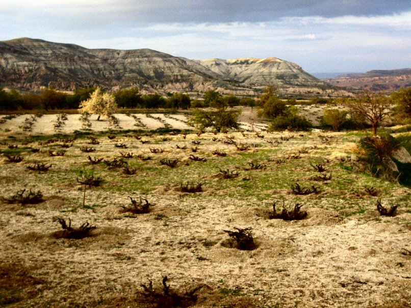 Cappadocia 15