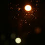 Bokeh Street