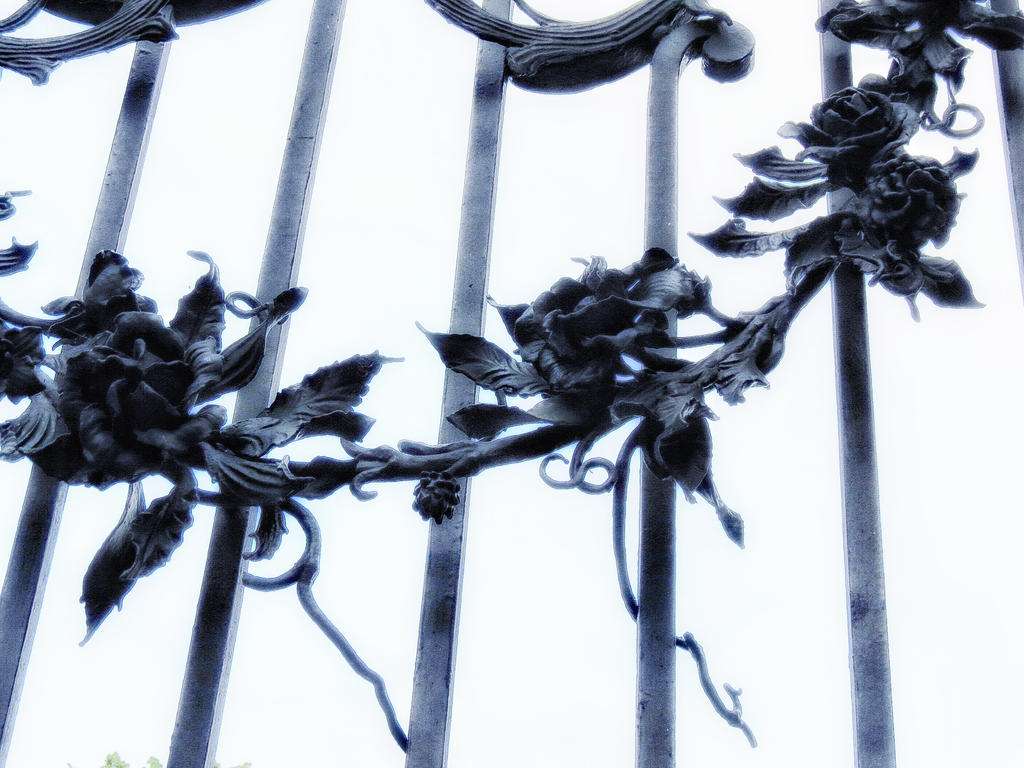 Deviantart Lace lace ... by DemonSD on DeviantArt
