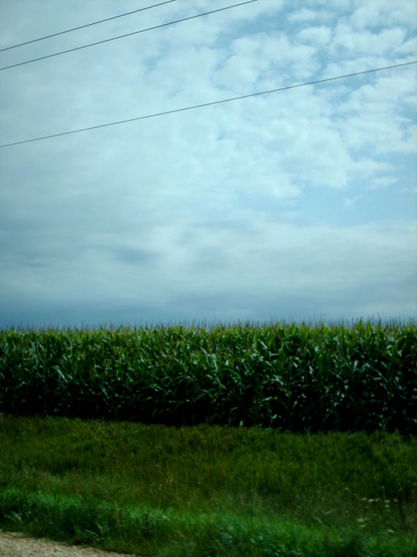 corn.... by midnightkrwlr on DeviantArt