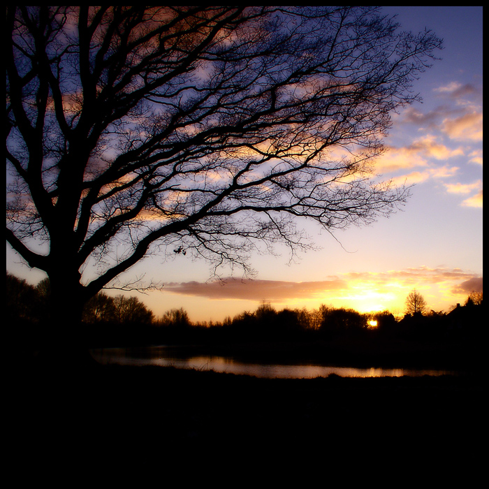 sunset silhouet...