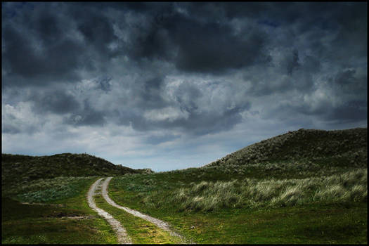 Dunes of Texel