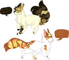 Golden Sisters || ADOPTS