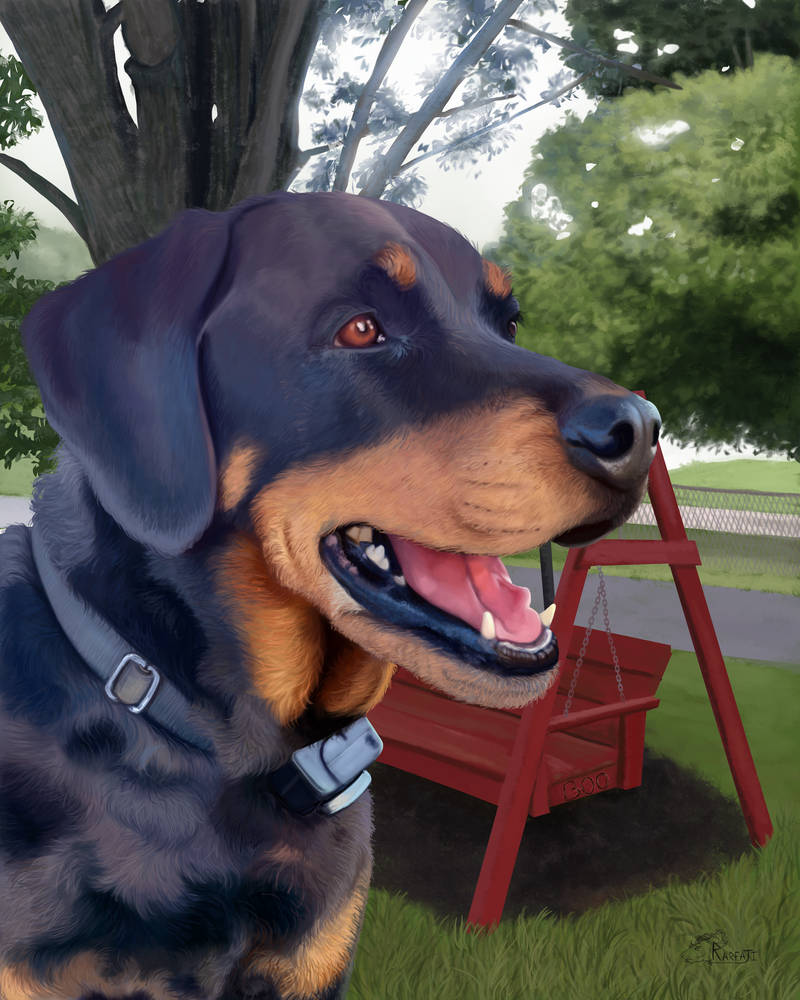 RIP Boo by HayleyWolf on DeviantArt